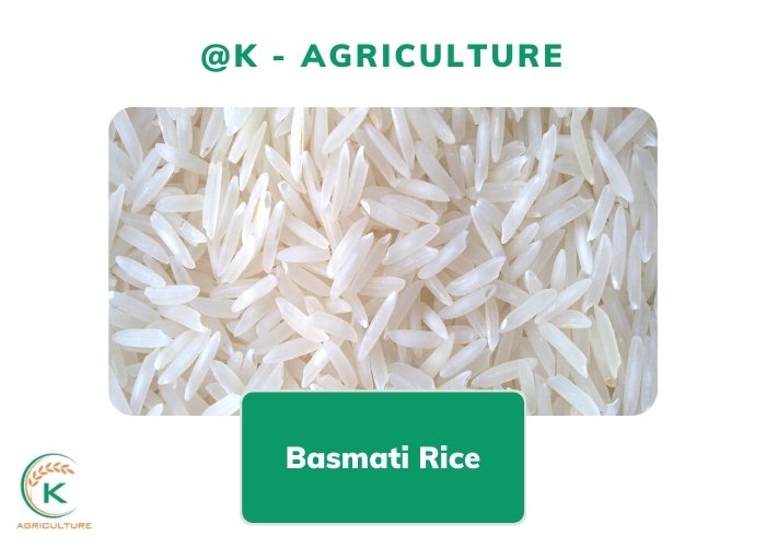 basmati-rice-in-bulk-and-everything-to-know-before-investing