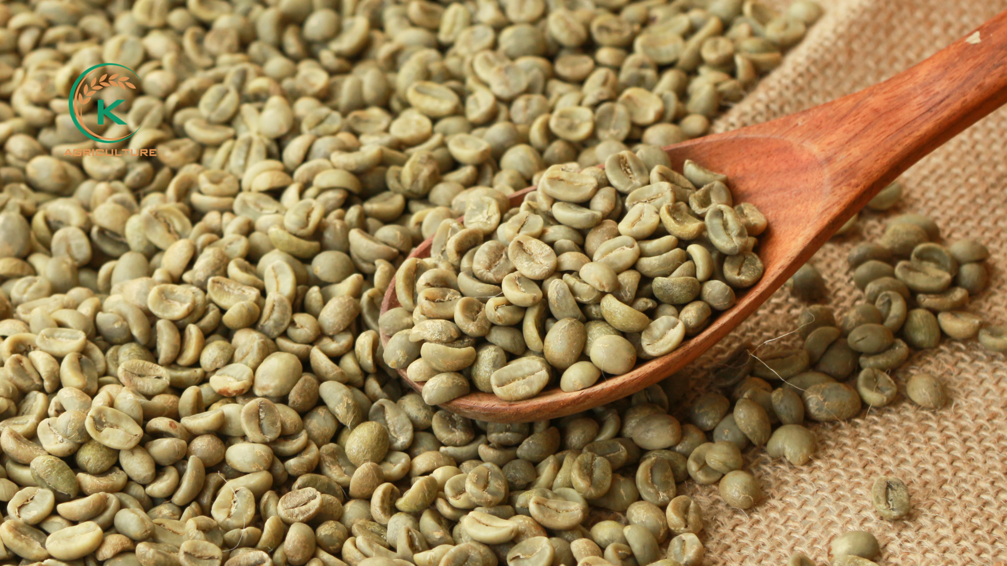 arabica-honey-coffee-and-reasons-to-choose