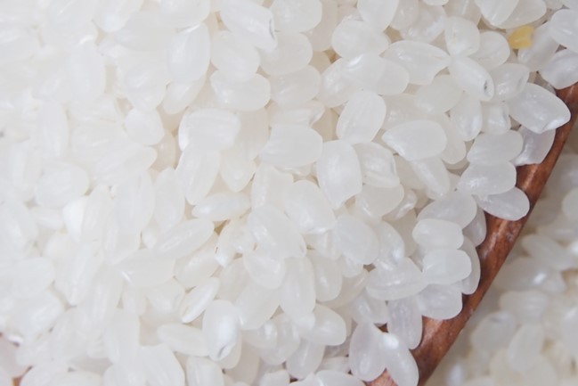 japonica-rice-is-the-best-short-grain-rice
