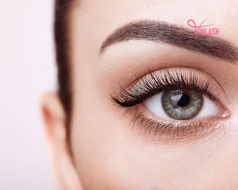 how-working-with-vin-lash-business-can-boost-sales-of-false-lashes.html-1